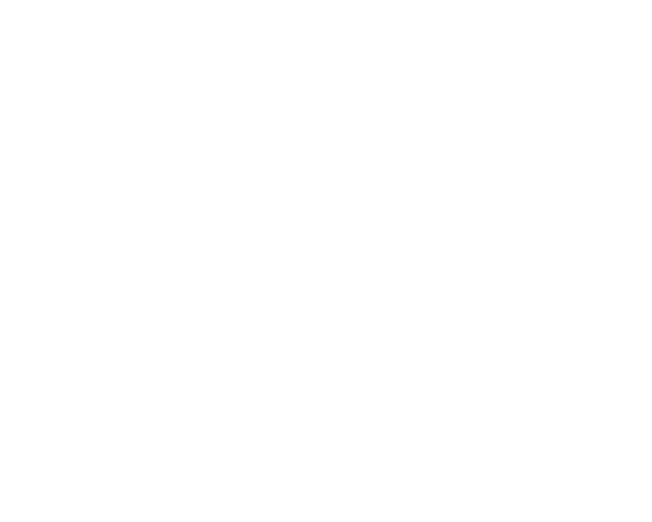 IHK Wahl 